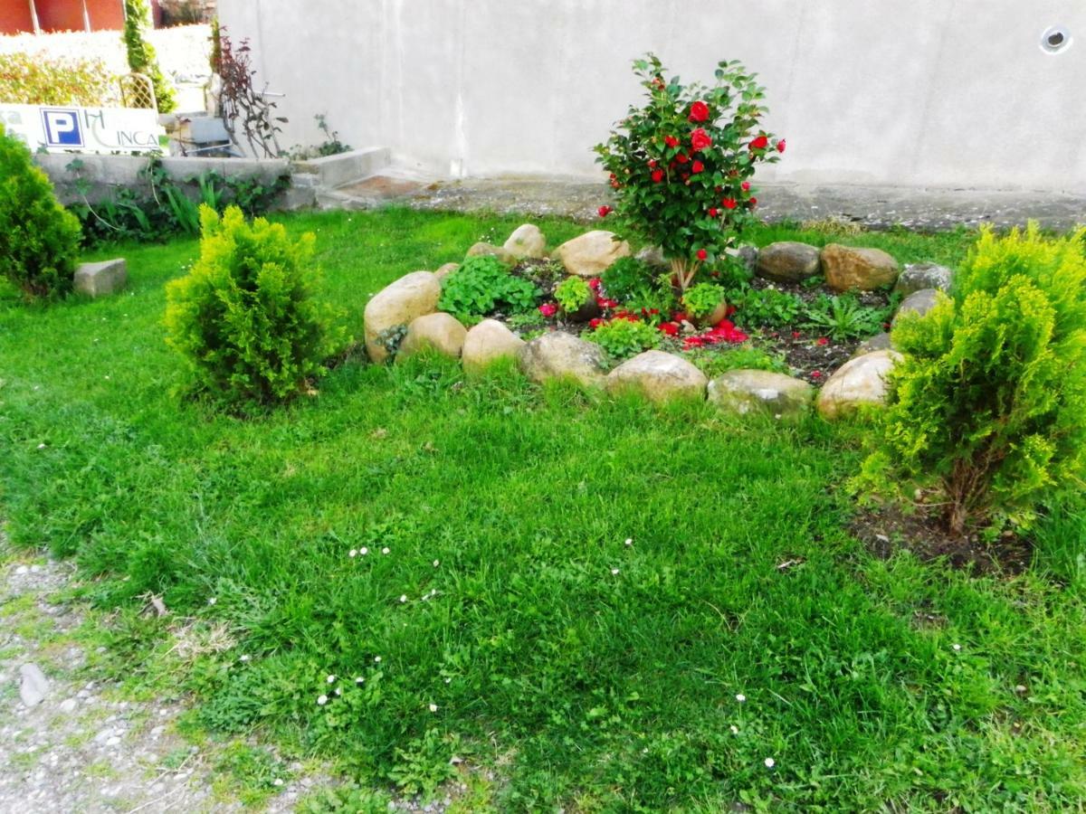 Casa Rural Sofia Ordesa Escalona Eksteriør billede